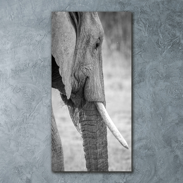 Staand plexiglas foto Olifant