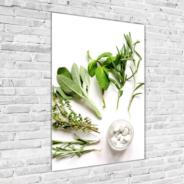 Staand foto plexiglas Kruiden