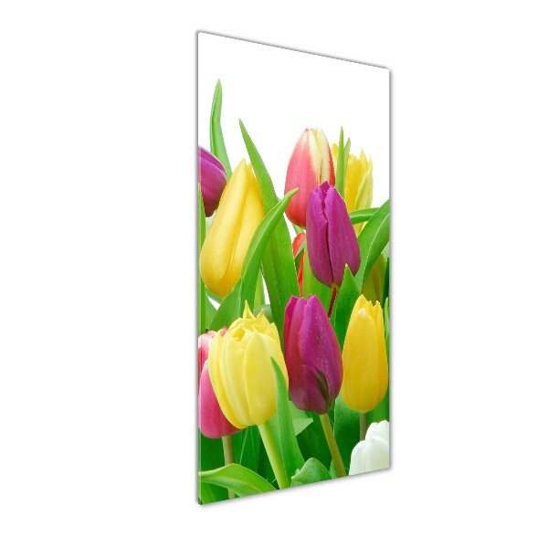 Staand foto op plexiglas Kleurrijke tulpen