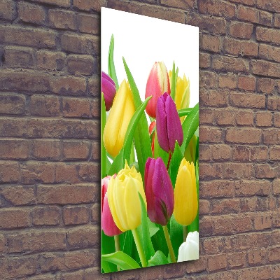 Staand foto op plexiglas Kleurrijke tulpen