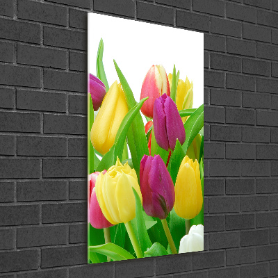 Staand foto op plexiglas Kleurrijke tulpen