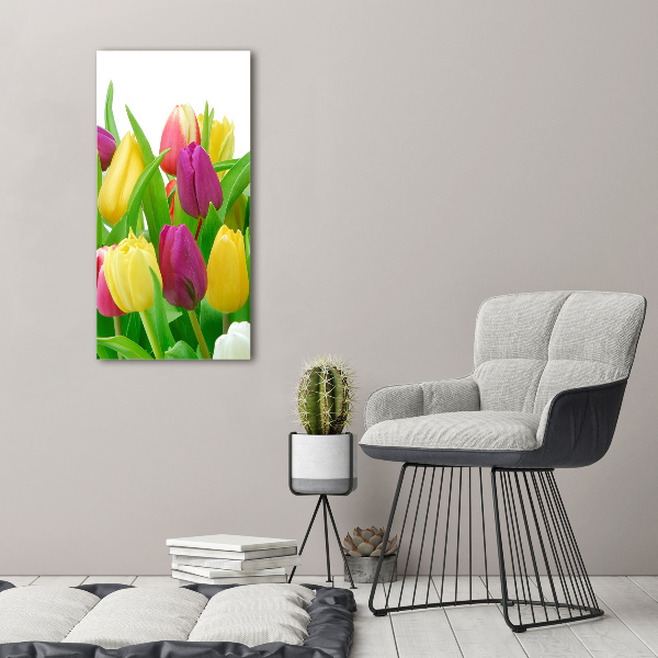 Staand foto op plexiglas Kleurrijke tulpen