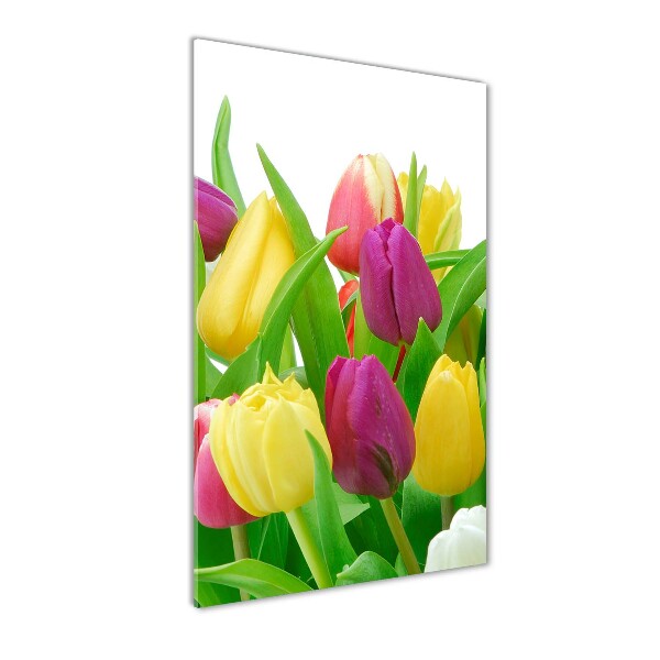 Staand foto op plexiglas Kleurrijke tulpen