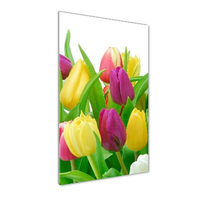 Staand foto op plexiglas Kleurrijke tulpen