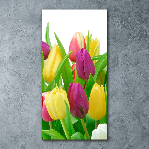 Staand foto op plexiglas Kleurrijke tulpen