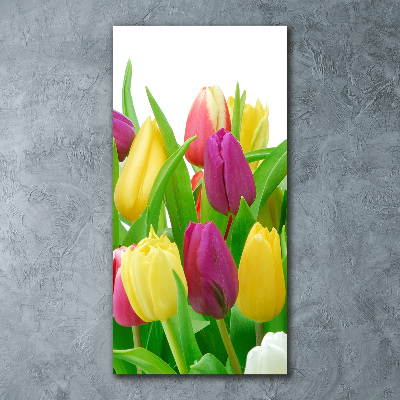 Staand foto op plexiglas Kleurrijke tulpen