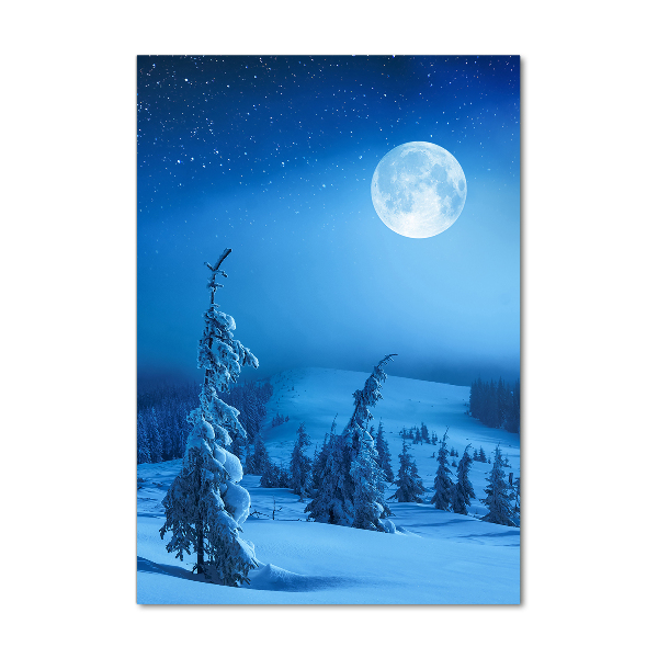 Staand foto op plexiglas Volle maan