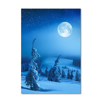 Staand foto op plexiglas Volle maan