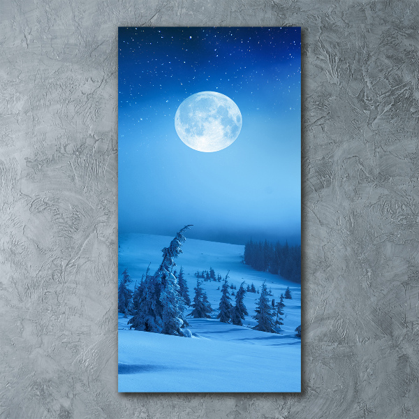 Staand foto op plexiglas Volle maan