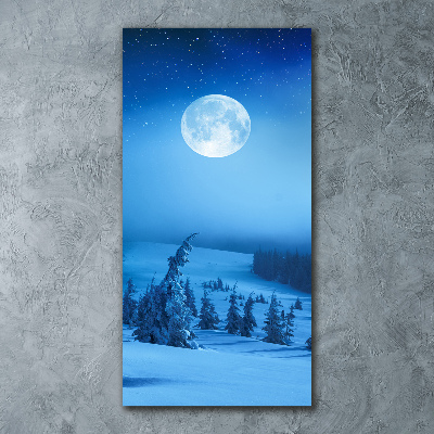 Staand foto op plexiglas Volle maan