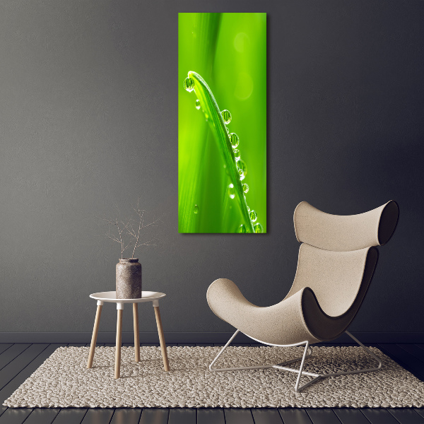 Staand plexiglas foto grassprieten