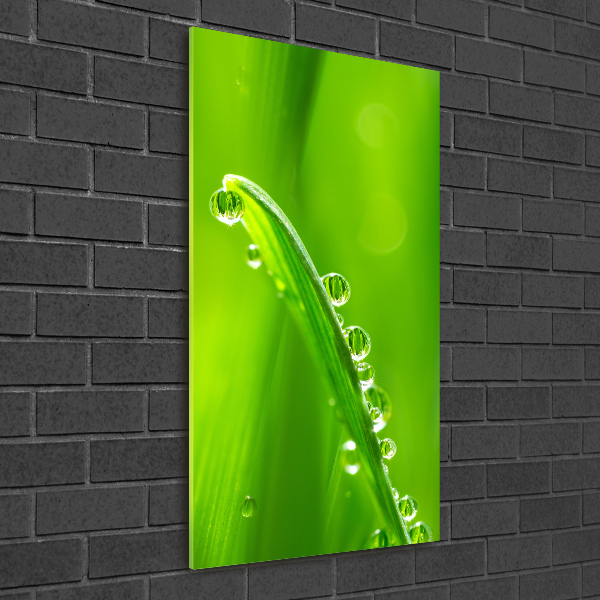 Staand plexiglas foto grassprieten