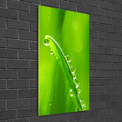 Staand plexiglas foto grassprieten