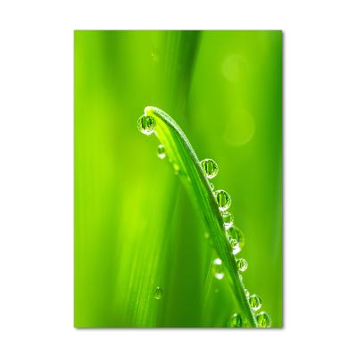 Staand plexiglas foto grassprieten