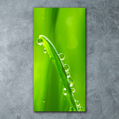 Staand plexiglas foto grassprieten