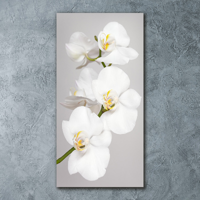 Staand foto plexiglas Witte orchidee