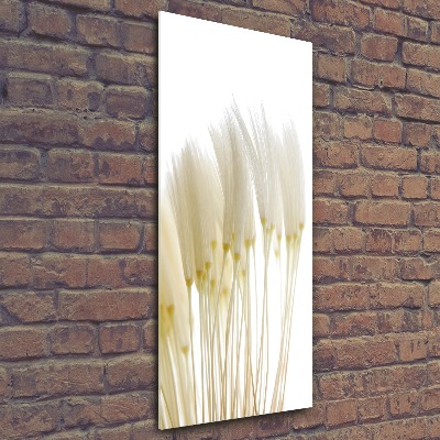 Staand foto plexiglas Paardenbloemzaden