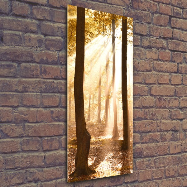 Staand foto op plexiglas Bos in de herfst