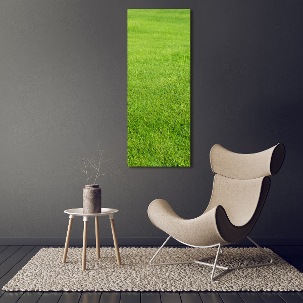 Staand plexiglas foto Groen gras