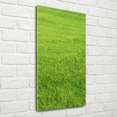 Staand plexiglas foto Groen gras