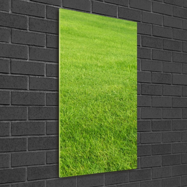 Obraz zdjęcie szkło akryl pionowy Zielona trawa