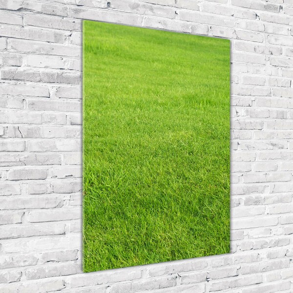 Staand plexiglas foto Groen gras