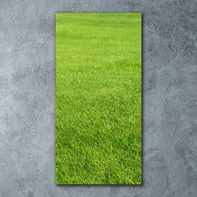 Staand plexiglas foto Groen gras
