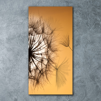 Staand foto op plexiglas Paardebloem