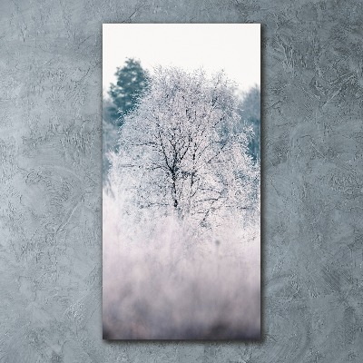 Staand foto plexiglas Bos in de winter