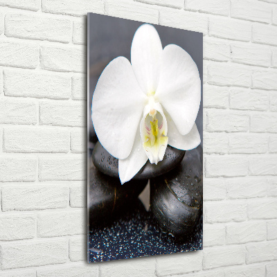 Staand foto plexiglas Orchidee en stenen