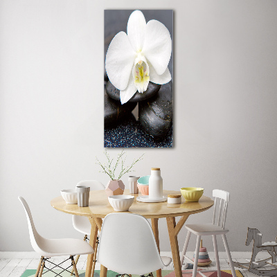 Staand foto plexiglas Orchidee en stenen