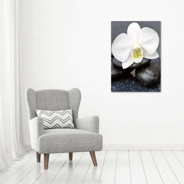 Staand foto plexiglas Orchidee en stenen