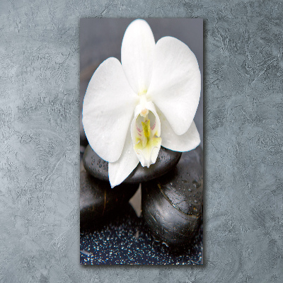 Staand foto plexiglas Orchidee en stenen