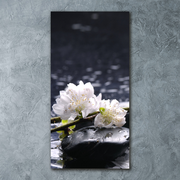 Staand foto in plexiglas Bloemen en stenen