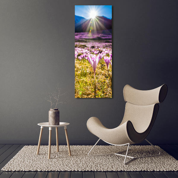 Staand foto op plexiglas Krokussen in de bergen