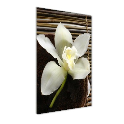 Staand foto plexiglas Orchidee