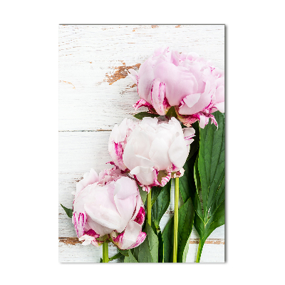 Staand foto op plexiglas Pioen