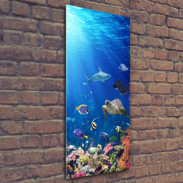 Staand foto plexiglas Koraalrif