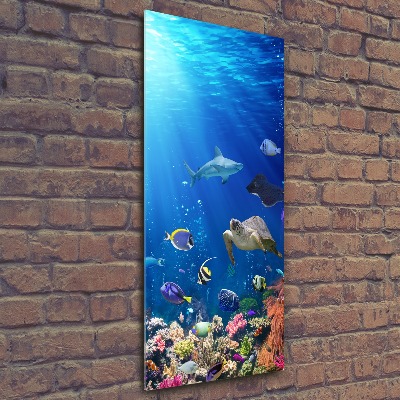 Staand foto plexiglas Koraalrif