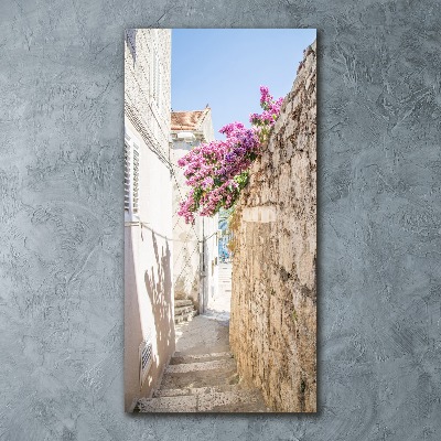 Staand foto plexiglas Korčula, Kroatië
