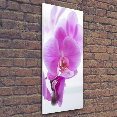 Staand foto in plexiglas Roze orchidee