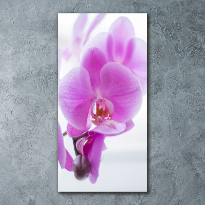 Staand foto in plexiglas Roze orchidee