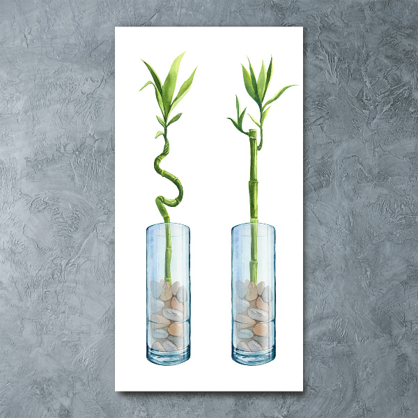 Staand plexiglas foto Bamboe in een pot