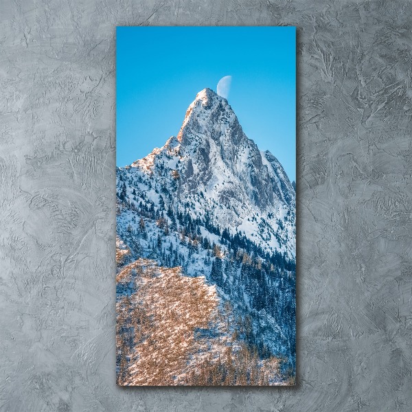 Staand foto op plexiglas Giewont Tatra-gebergte
