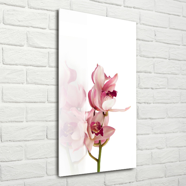 Staand foto op plexiglas Roze orchidee