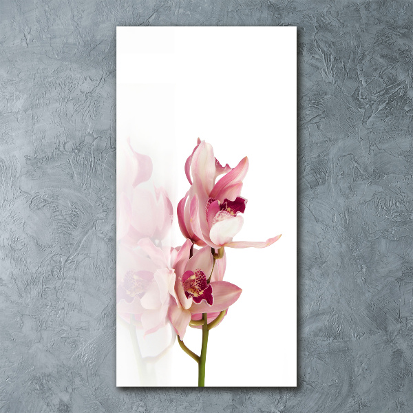 Staand foto op plexiglas Roze orchidee