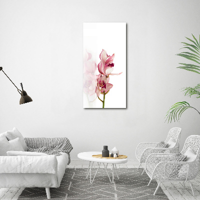 Staand foto op plexiglas Roze orchidee