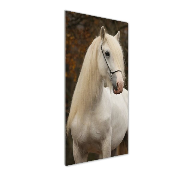 Staand foto in plexiglas Wit paard