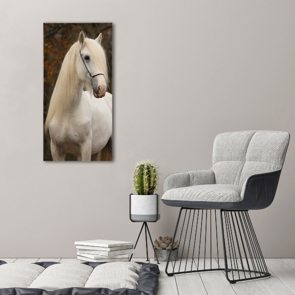 Staand foto in plexiglas Wit paard