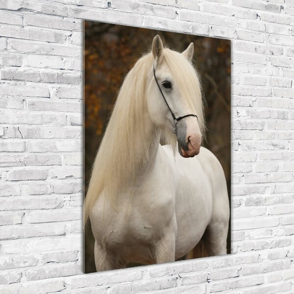 Staand foto in plexiglas Wit paard